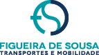 Logo Figueira de Sousa